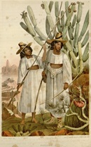 illustration depicting Papagos from 1857 United States and Mexican Boundary Survey report 