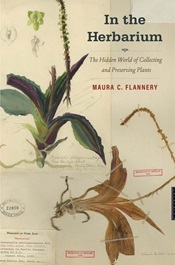 In the herbarium : the hidden world of collecting and preserving plants / Maura C. Flannery.