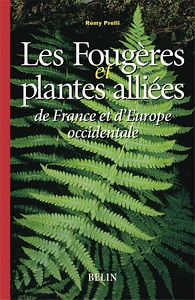 cover: Les fougères et plantes alliées de France et d'Europe occidentale / Rémy Prelli ; avec la collaboration de Michel Boudrie. cover image