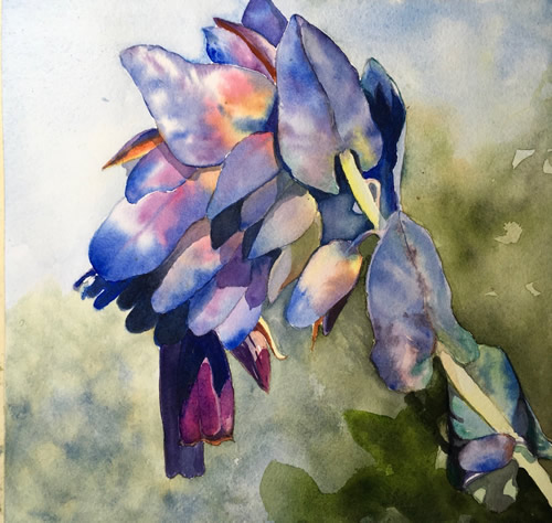 Art Exhibit: Learning the Flowers: Watercolors by Linda Andrews