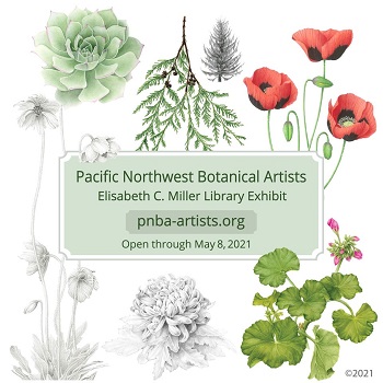 Pacific Northwest Botanical Artists