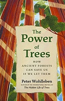 The power of trees : how ancient forests can save us if we let them / Peter Wohlleben ; translated by Jane Billinghurst.