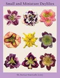 Small and miniature daylilies / Scott Elliott.