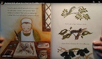 screenshot of Maria Merian image from Summer Birds Virtual Story Time; illustration by Julie Paschkis 