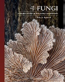 The lives of fungi : a natural history of our planet's decomposers / Britt A. Bunyard.