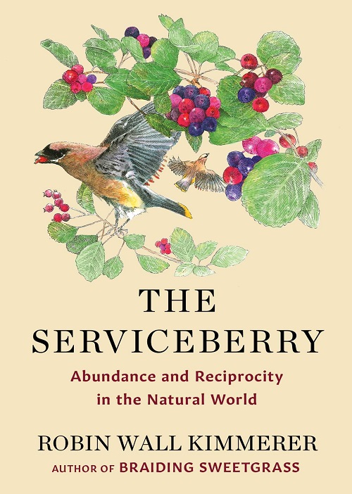 The serviceberry : abundance and reciprocity in the natural world / Robin Wall Kimmerer ; with illustrations by John Burgoyne.