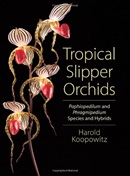 Tropical slipper orchids : Paphiopedilum and Phragmipedium species and hybrids / Harold Koopowitz ; special photography by James Comstock ; watercolors by Carol Woodin.