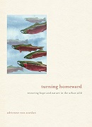 Turning homeward : restoring hope and nature in the urban wild / Adrienne Ross Scanlan.