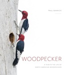  	 Woodpecker : a year in the life of North American woodpeckers / Paul Bannick.