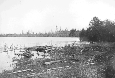 30538 Lake Washington, Seattle Washington. Washington Park. Foster Island. View from E. Montlake Park, 1903.gif