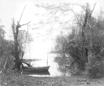 Foster Island 1913 (city archives) 30551.gif