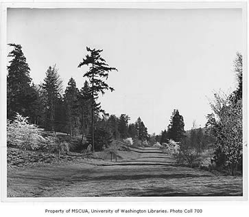 UW19984z - Azalea Way, Arboretum, University of Washington, April 6, 1949.jpg
