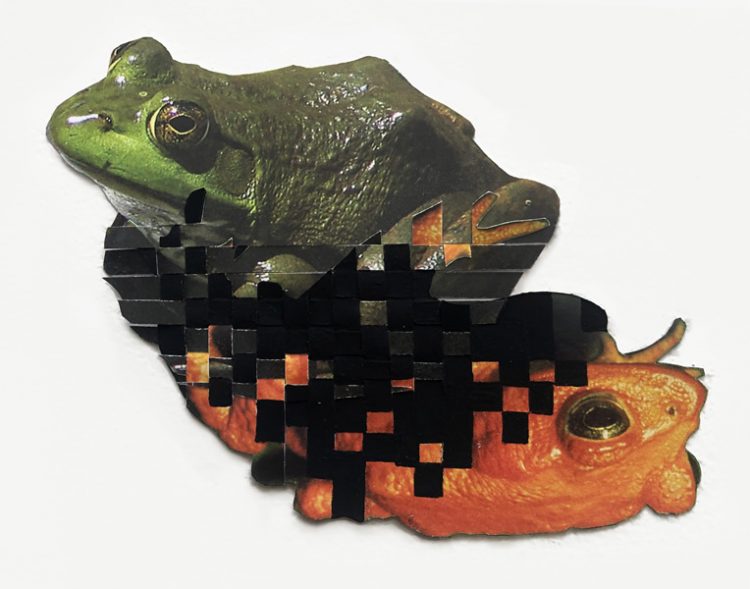green frog interwoven with orange frog