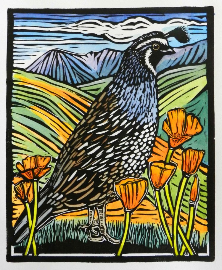 quail with orange poppies and fields in the background