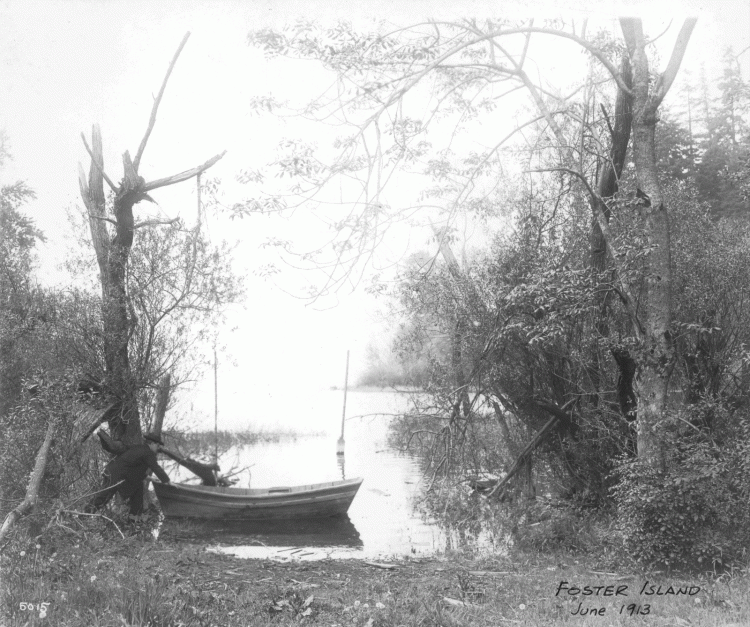 lake scene with row boat