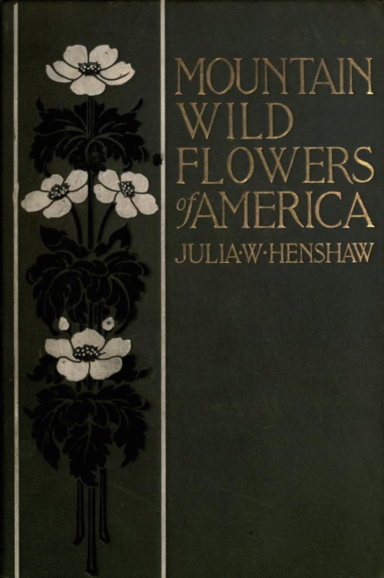Mountain Wild Flowers of America A Simple and Popular Guide to the