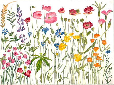 June Meadow Flowers by Katy Gilmore