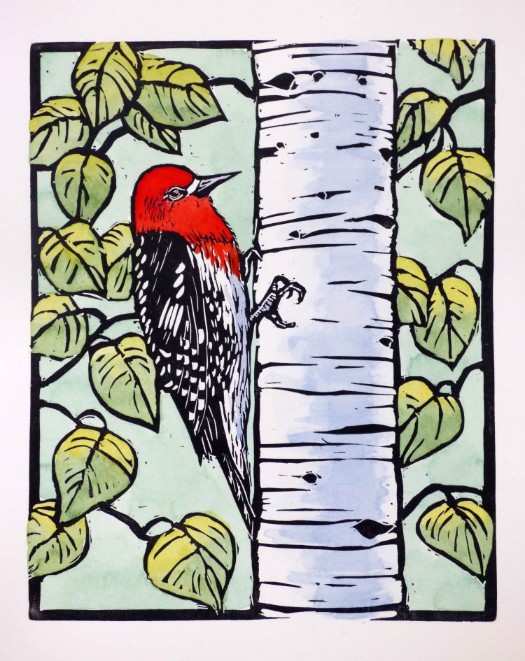red headed bird perched on birch trunk