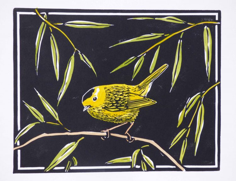 a yellow bird perched on a willow twig
