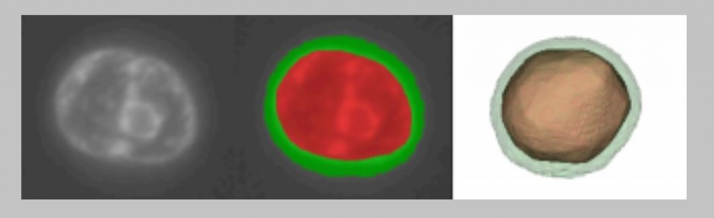 3D Optical Projection Tomographic Microscopy – UW Human Photonics Lab