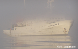 Research vessel 'Gipanis' in fog; Copyright Beth Martin - Click for larger version