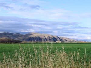 make hay while the sun shines (a field near town)