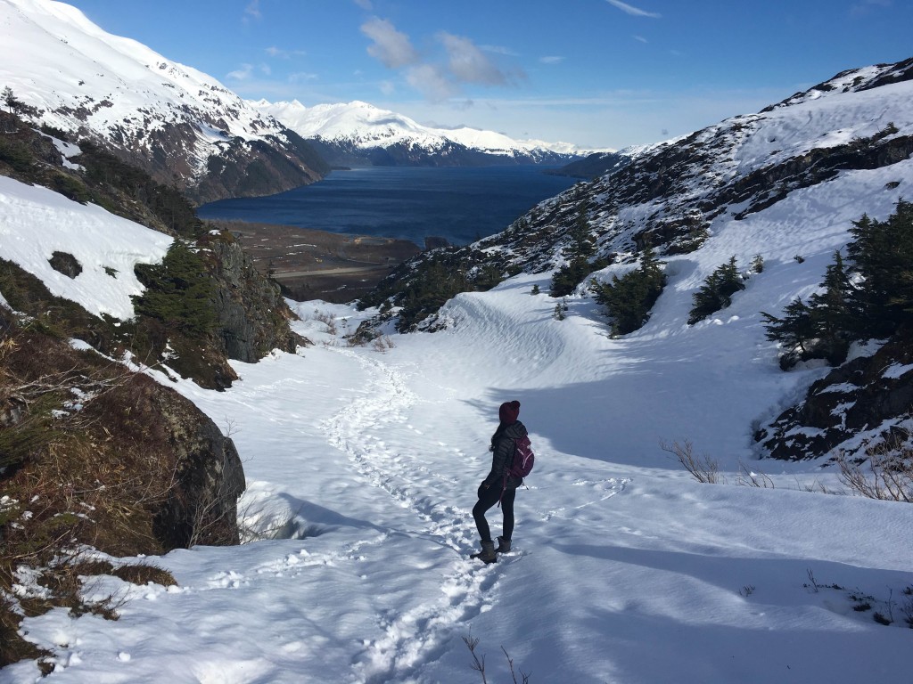 Hiking near Portage Glacier, an hour south of Anchorage