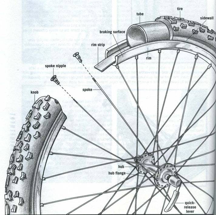 Bicycle Components & Design