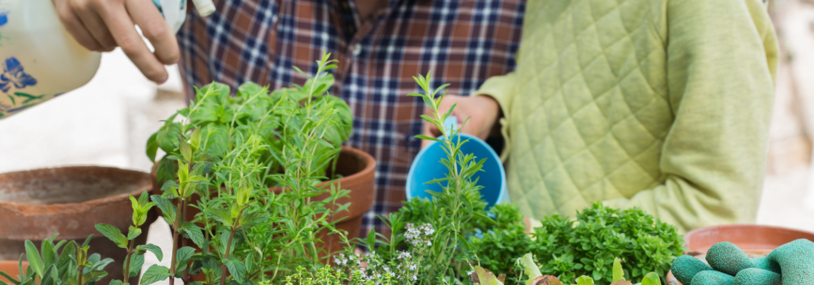 Banner Photo: Antonia Vlasova