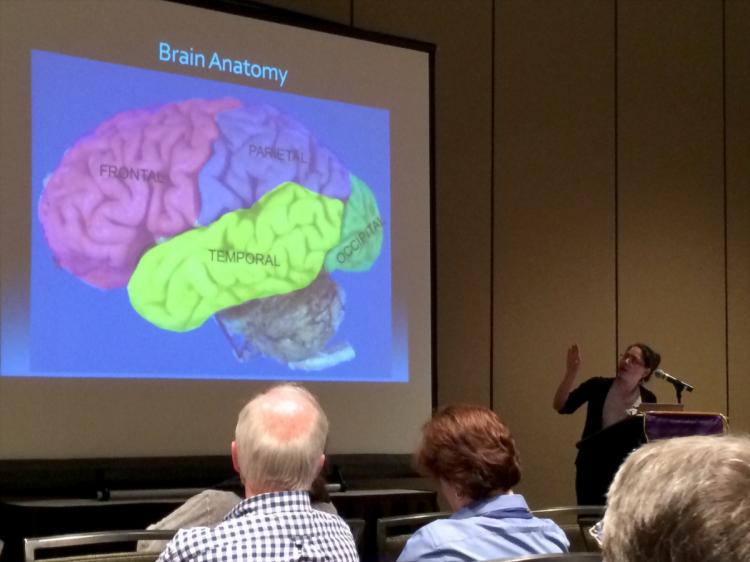 Dr. Kimiko Domoto-Reilly discusses brain areas often affected by FTD (yellow and pink)