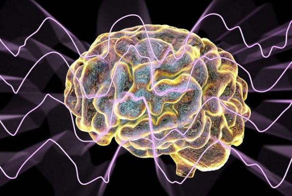Brain illustration