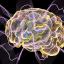 Brain illustration