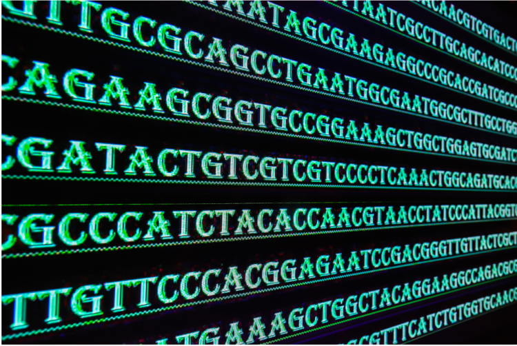 Rows of green letters against a black background