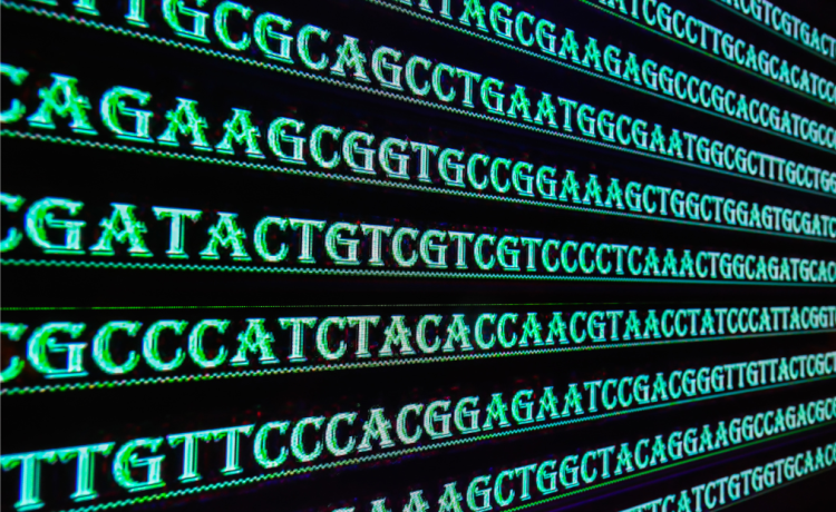 Rows of green letters against a black background