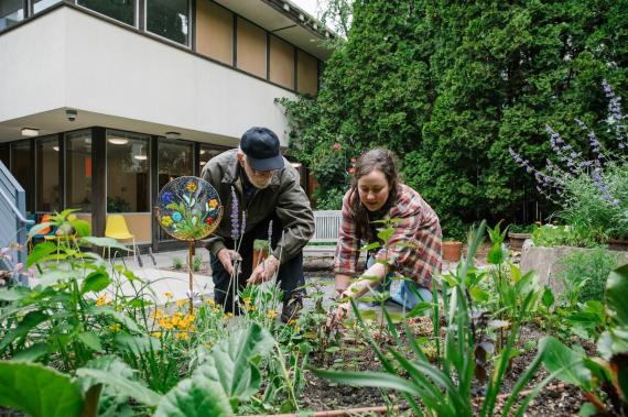 Two people touching plants in a garden bed