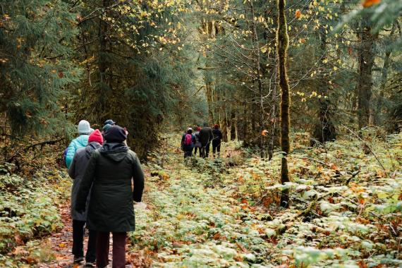 People hiking in a forest in the fall