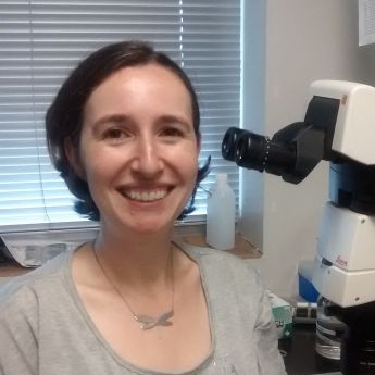 Nicole F. Liachko, PhD