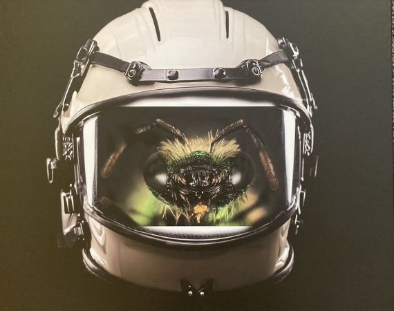 Take Me to Your Leader, 2024