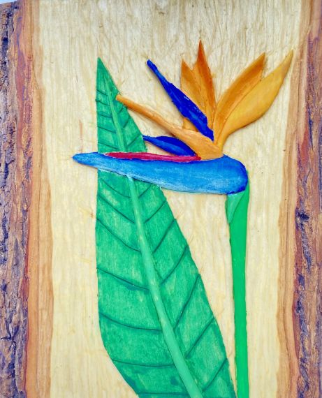 Bird of Paradise