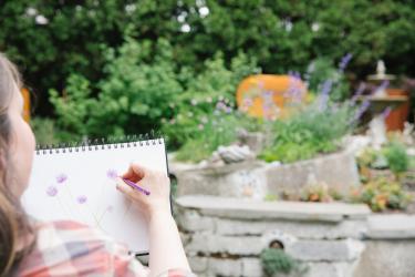 a woman sketches chive buds in a garden