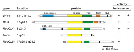 The Monnat Lab | Projects