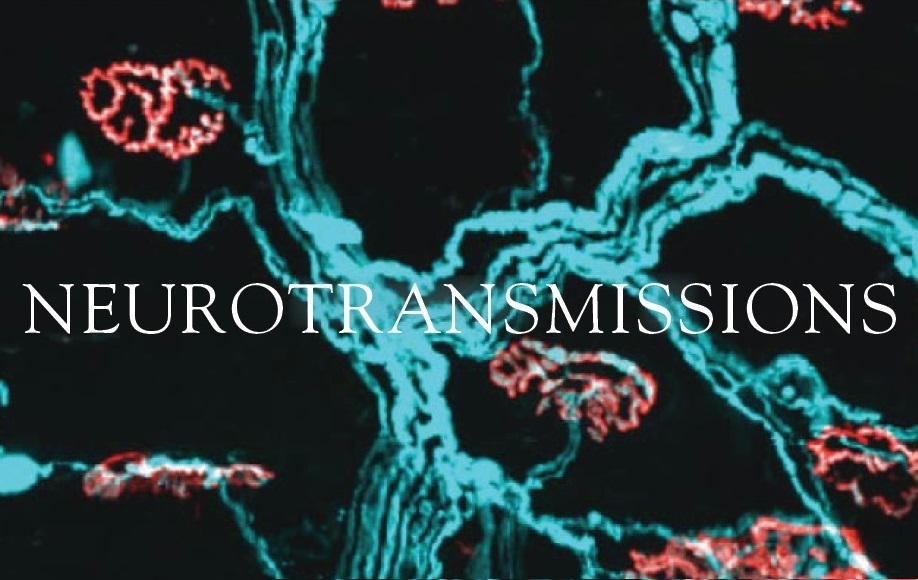 Neurotransmissions