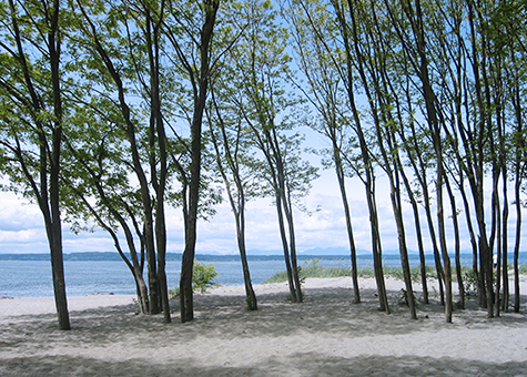 Seattle Park