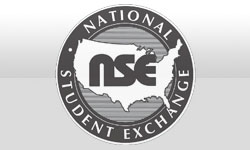NSE Official Website
