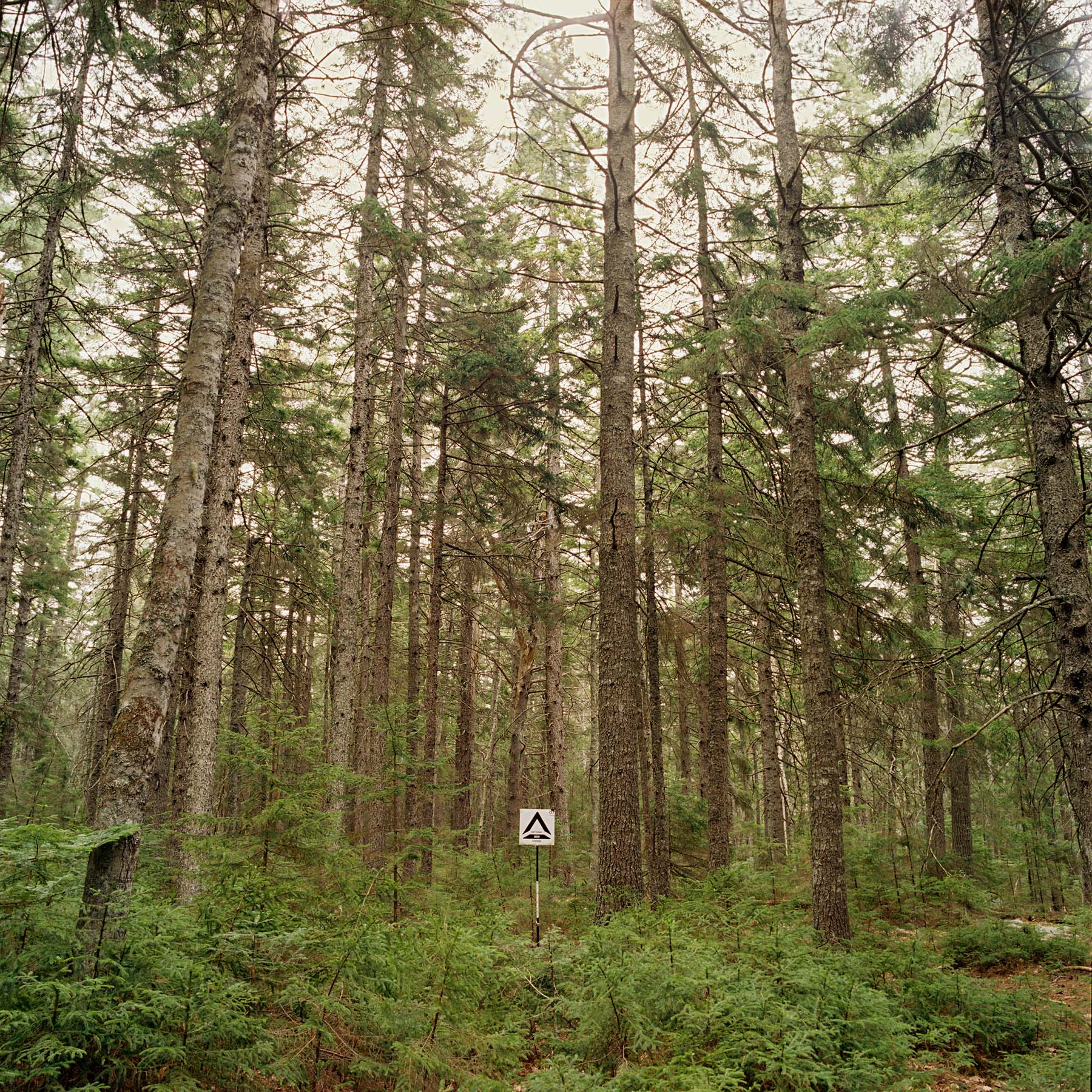 Digital Photo Series Site NESF 05