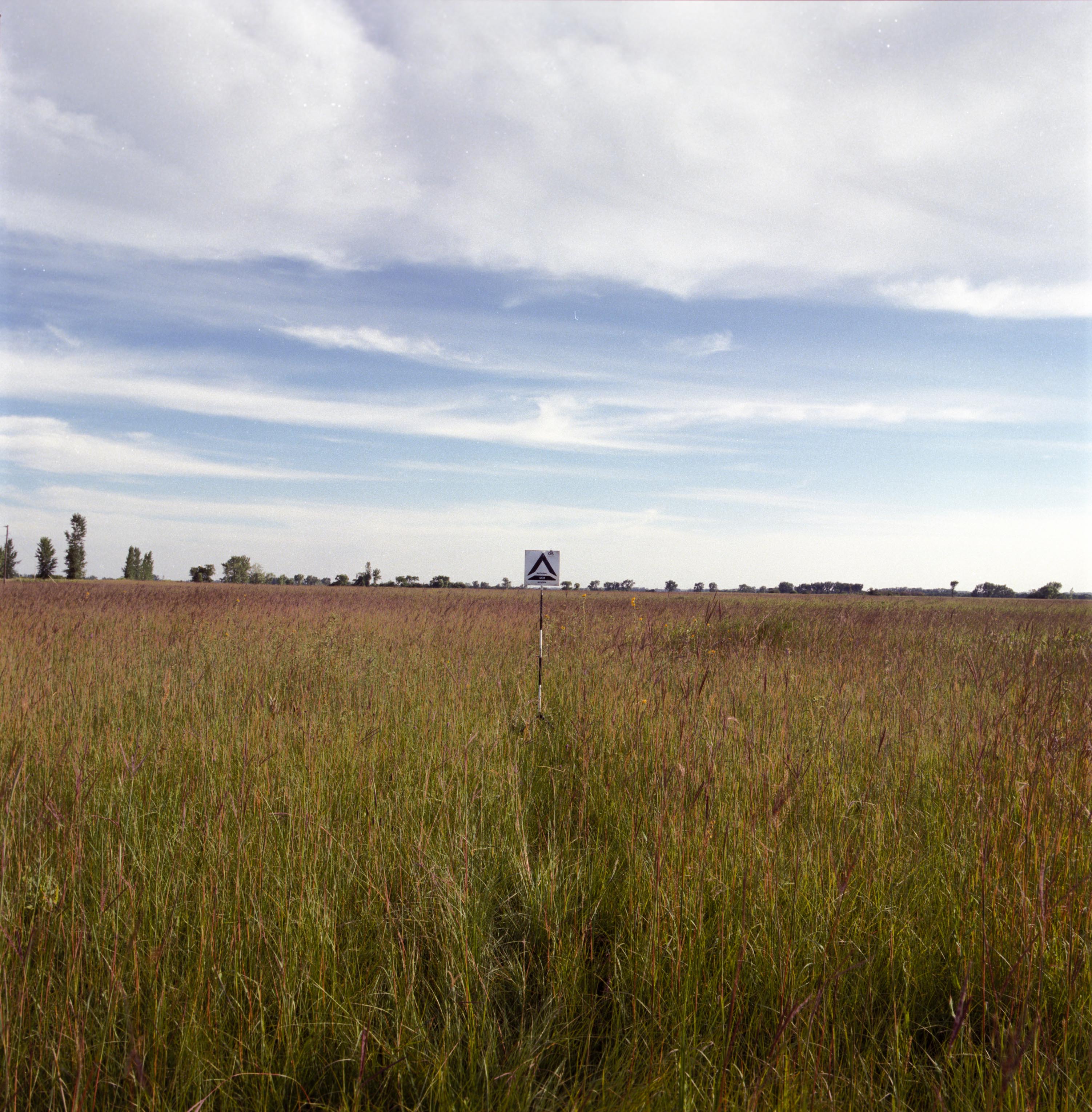 bg 04