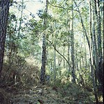 P-W 01
