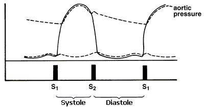 Diagram showing sytole & diastole wave.