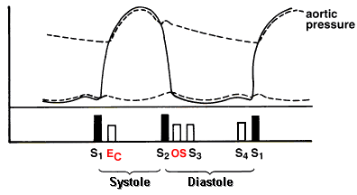 Diagram of systole / diastole for clicks & snaps.