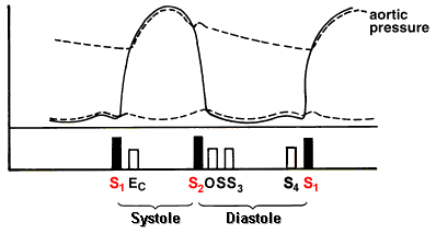 Diagram of S3 S4 heart sounds during systole and diastole.